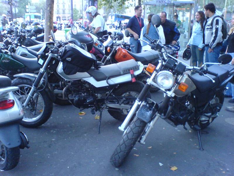 pas facile de compter.JPG