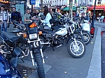 des Tiwies en vrac.JPG